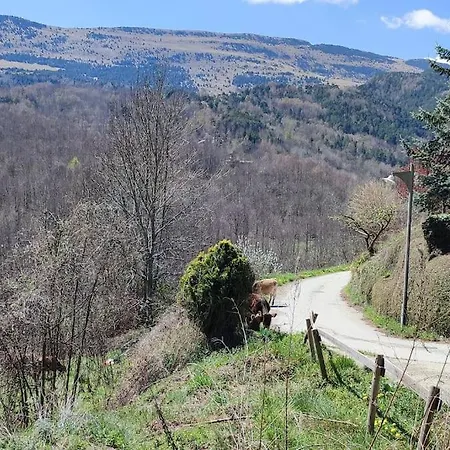 Casa Rural Con Jacuzzi Junto A Camprodon. Chalet