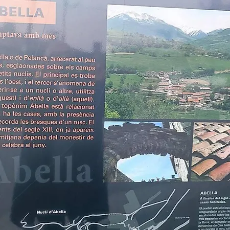 Casa Rural Con Jacuzzi Junto A Camprodon. Caserio Abella